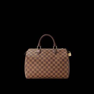 Loius Vuitton Handle Speedy 30 Vintage